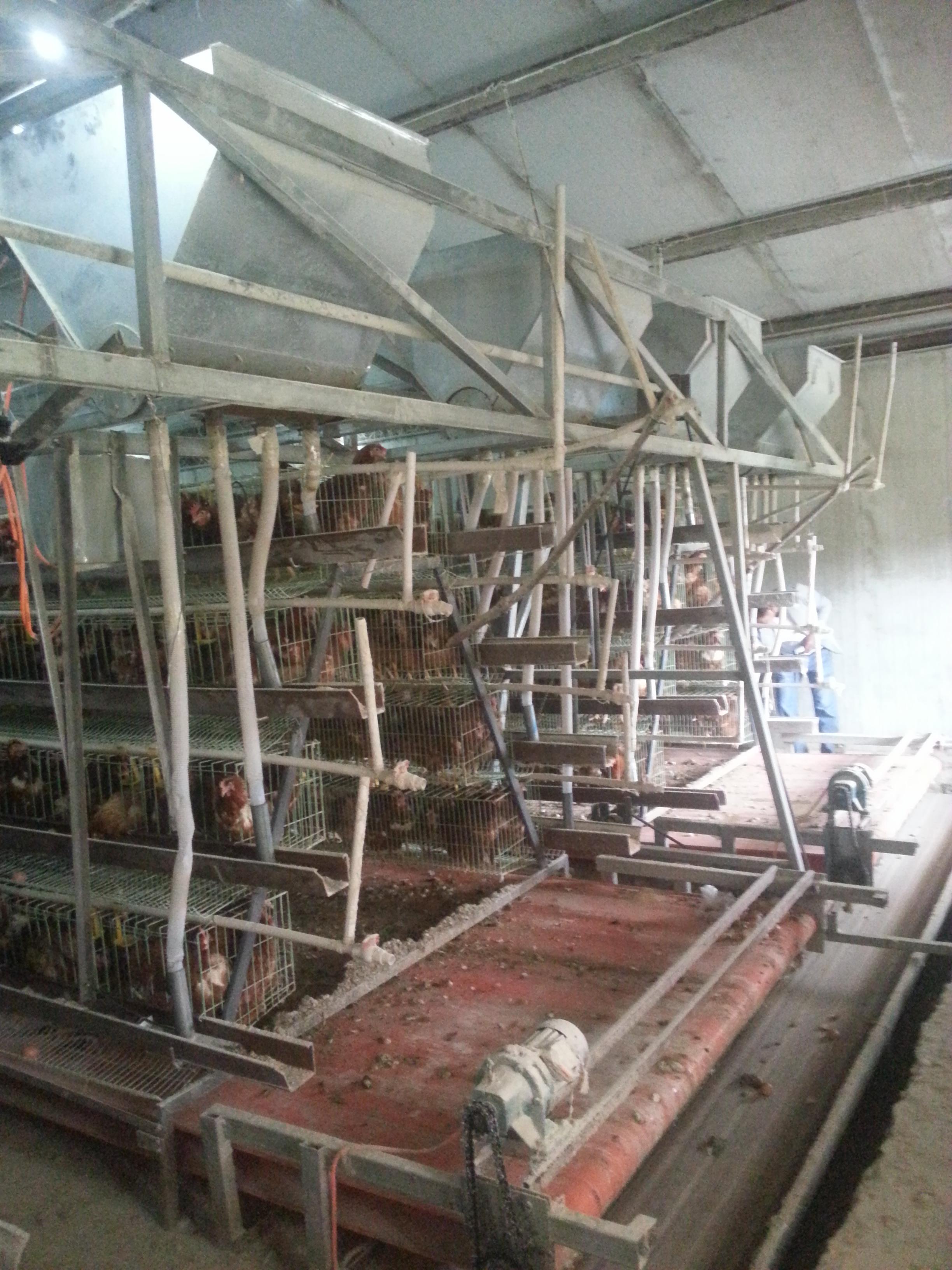 20130520_123837_1_4675187.jpg