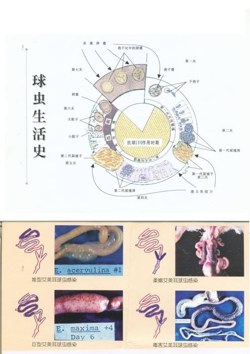clip_image002.jpg
