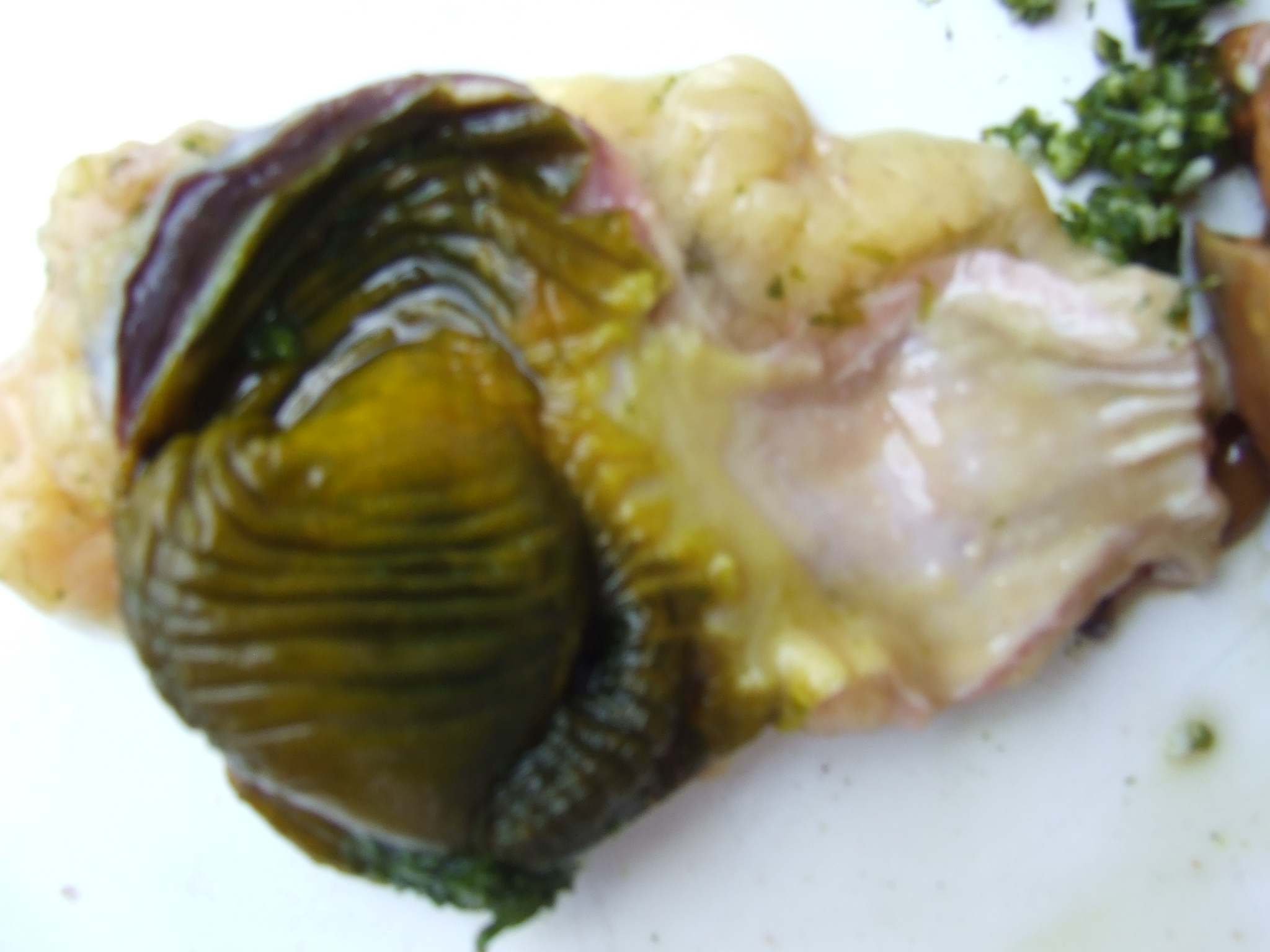 DSCF1589.JPG