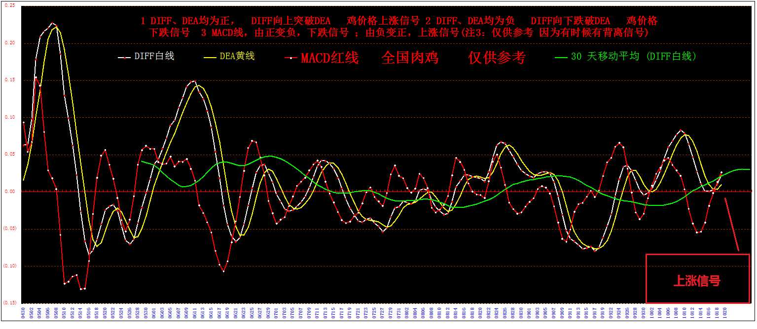 3⼦&nbsp;&nbsp; 2013&nbsp;&nbsp;&nbsp;&nbsp; 1019..jpg