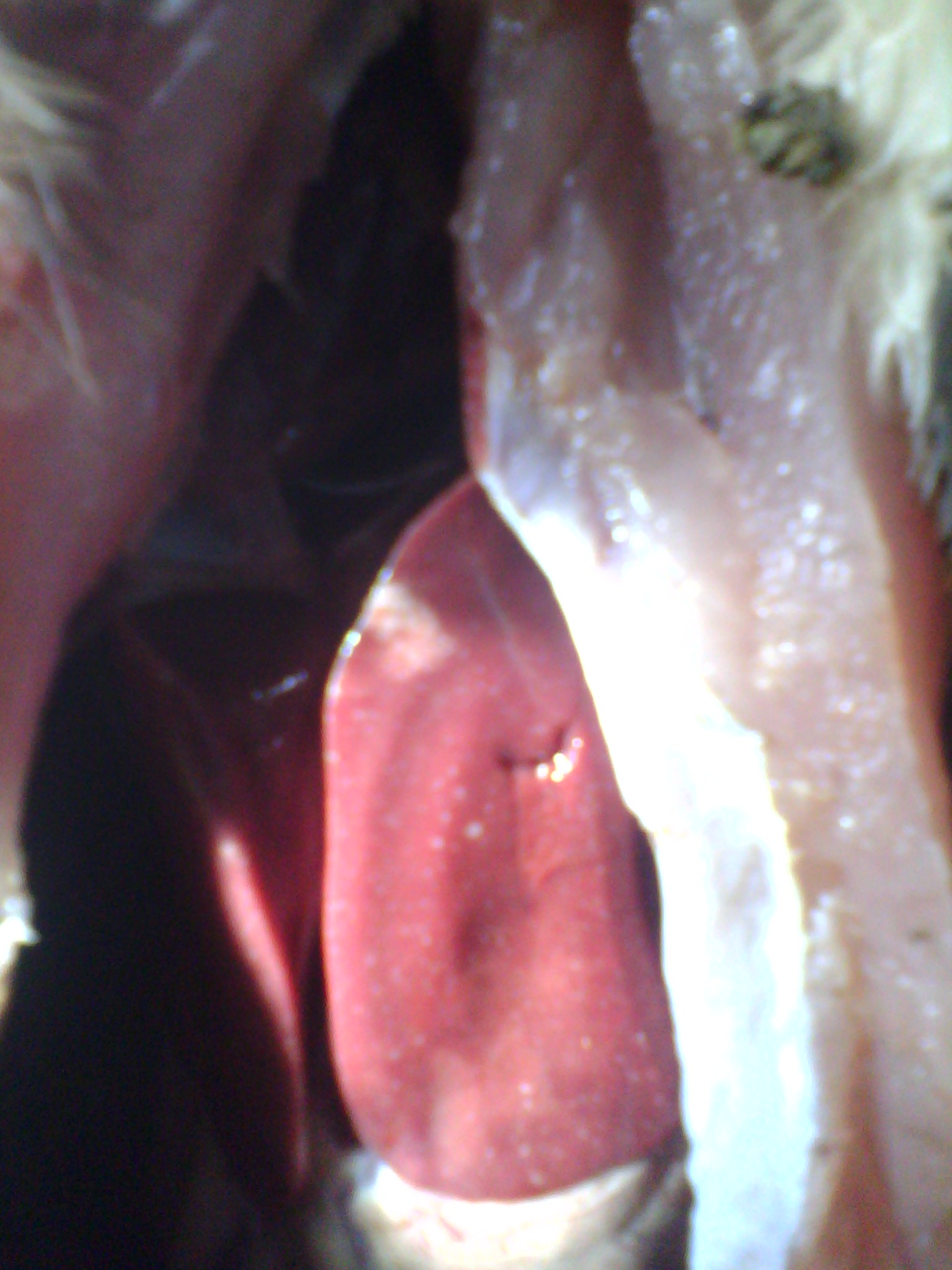 IMG_20131110_122405_0.jpg