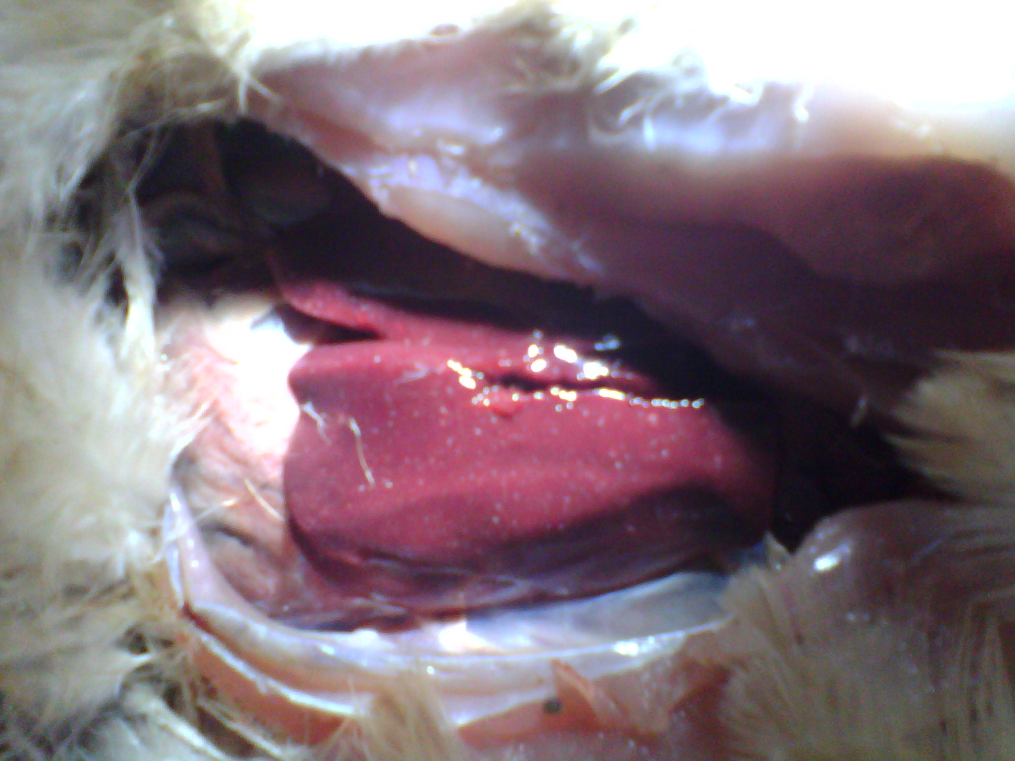 IMG_20131110_122327_0.jpg