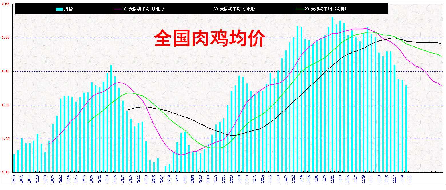 3⼦&nbsp;&nbsp; 2013&nbsp;&nbsp;&nbsp;&nbsp; 1120.jpg