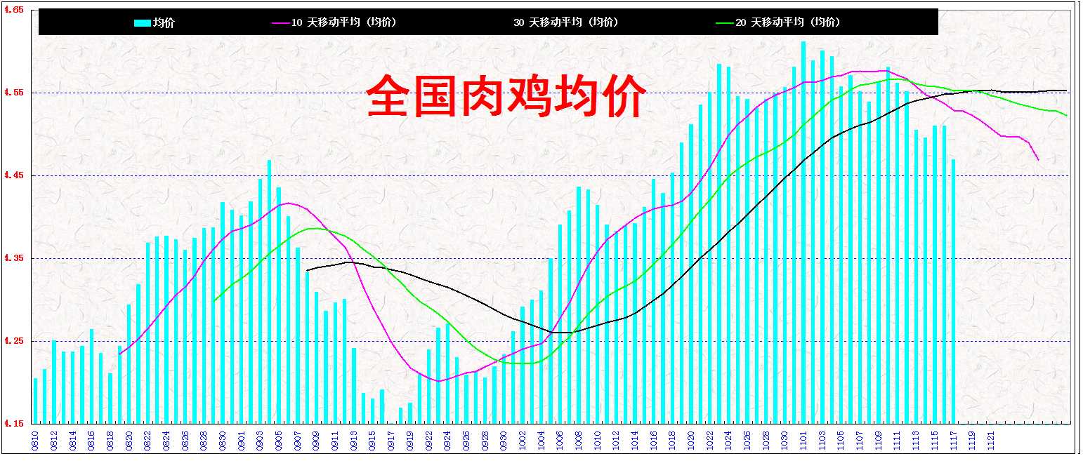 3⼦&nbsp;&nbsp; 2013&nbsp;&nbsp;&nbsp;&nbsp; 1117.jpg