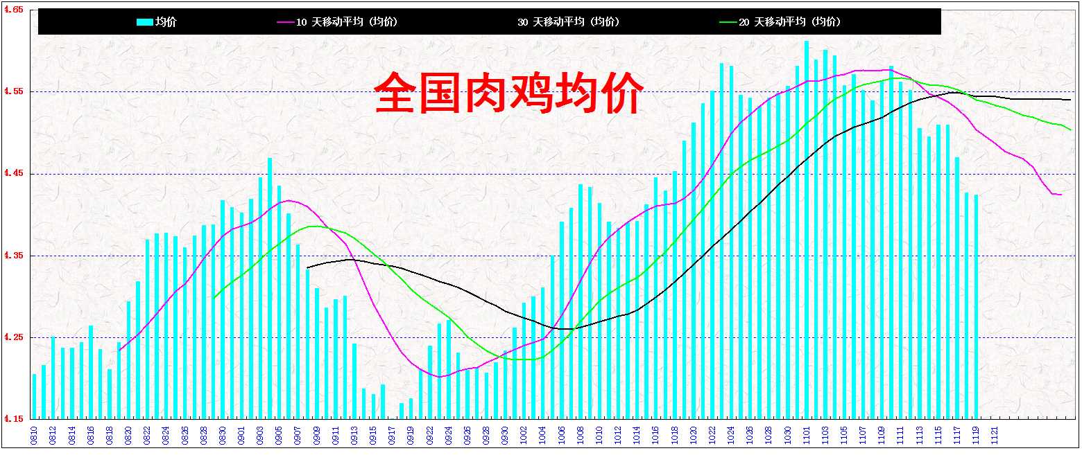 3⼦&nbsp;&nbsp; 2013&nbsp;&nbsp;&nbsp;&nbsp; 1119.jpg