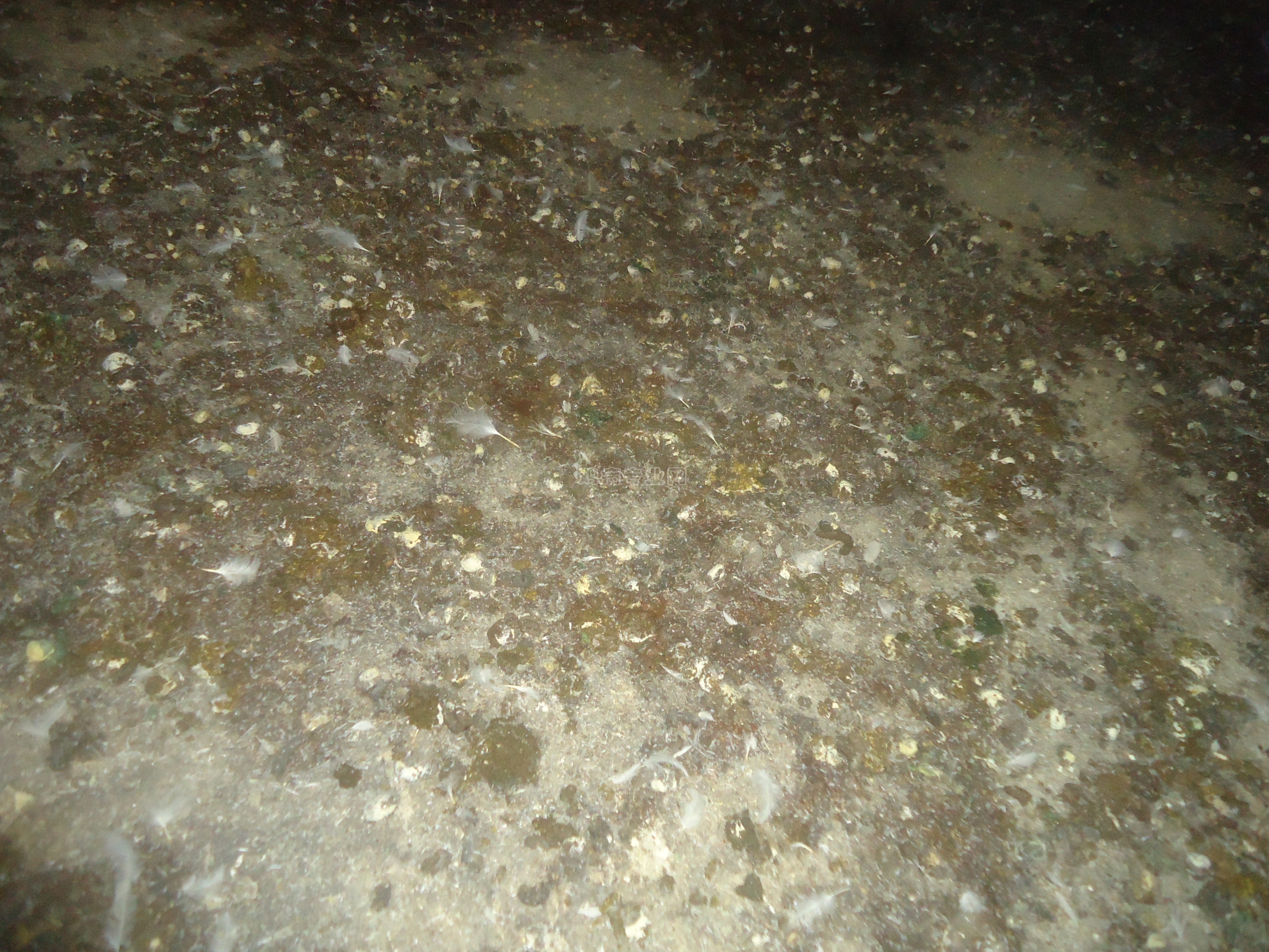 DSC01509.JPG