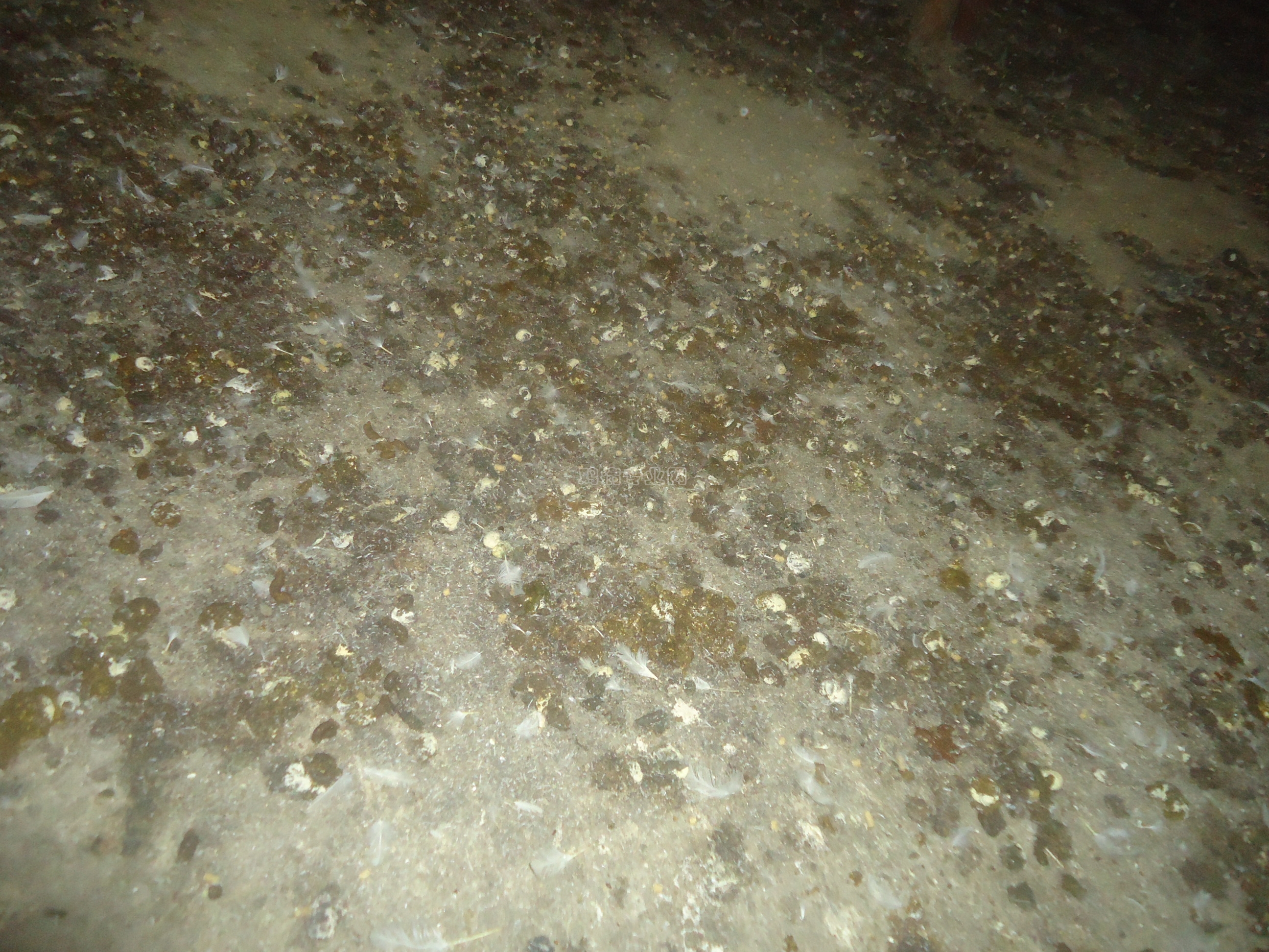 DSC01505.JPG