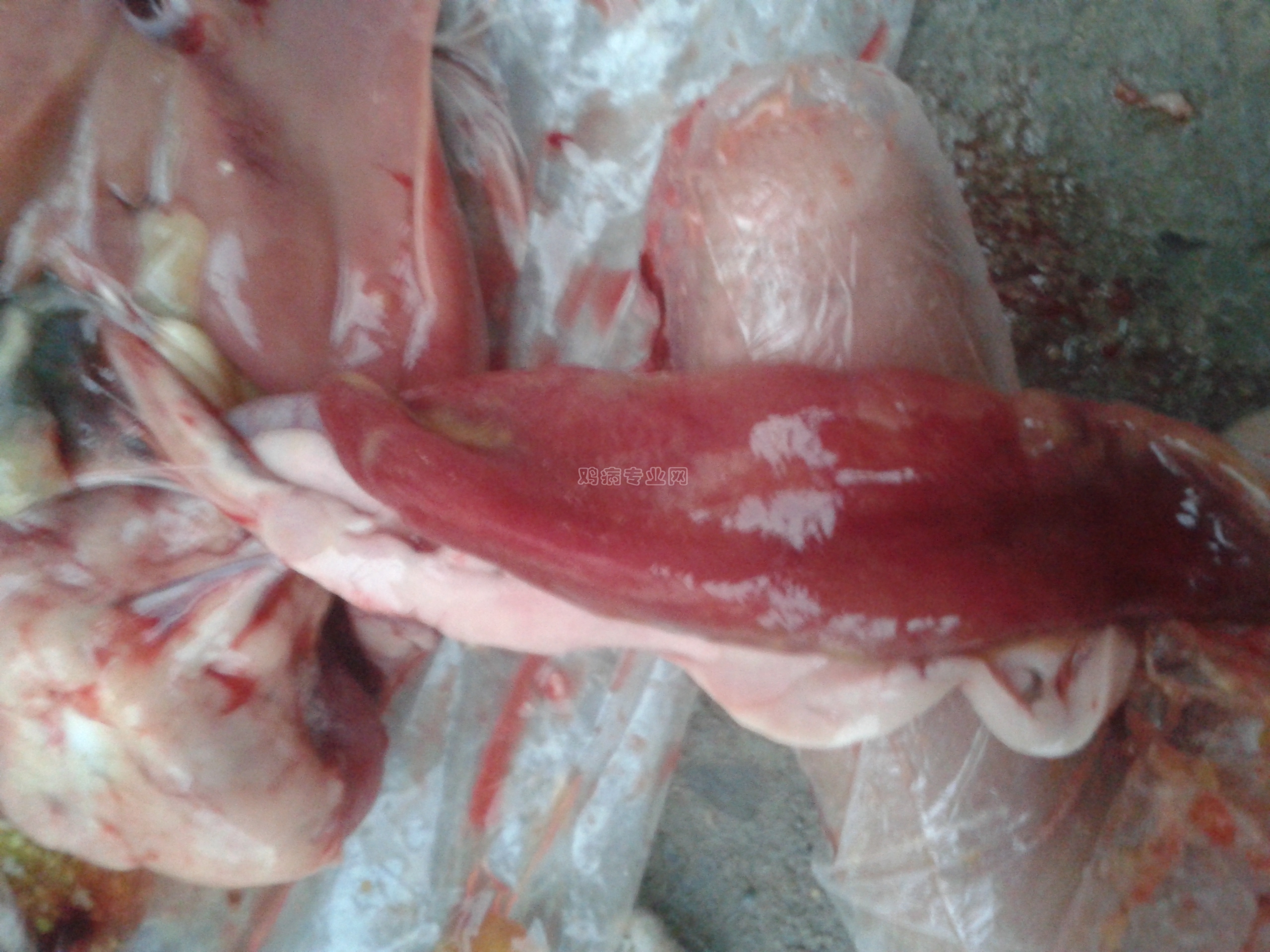 20140104_172401.jpg