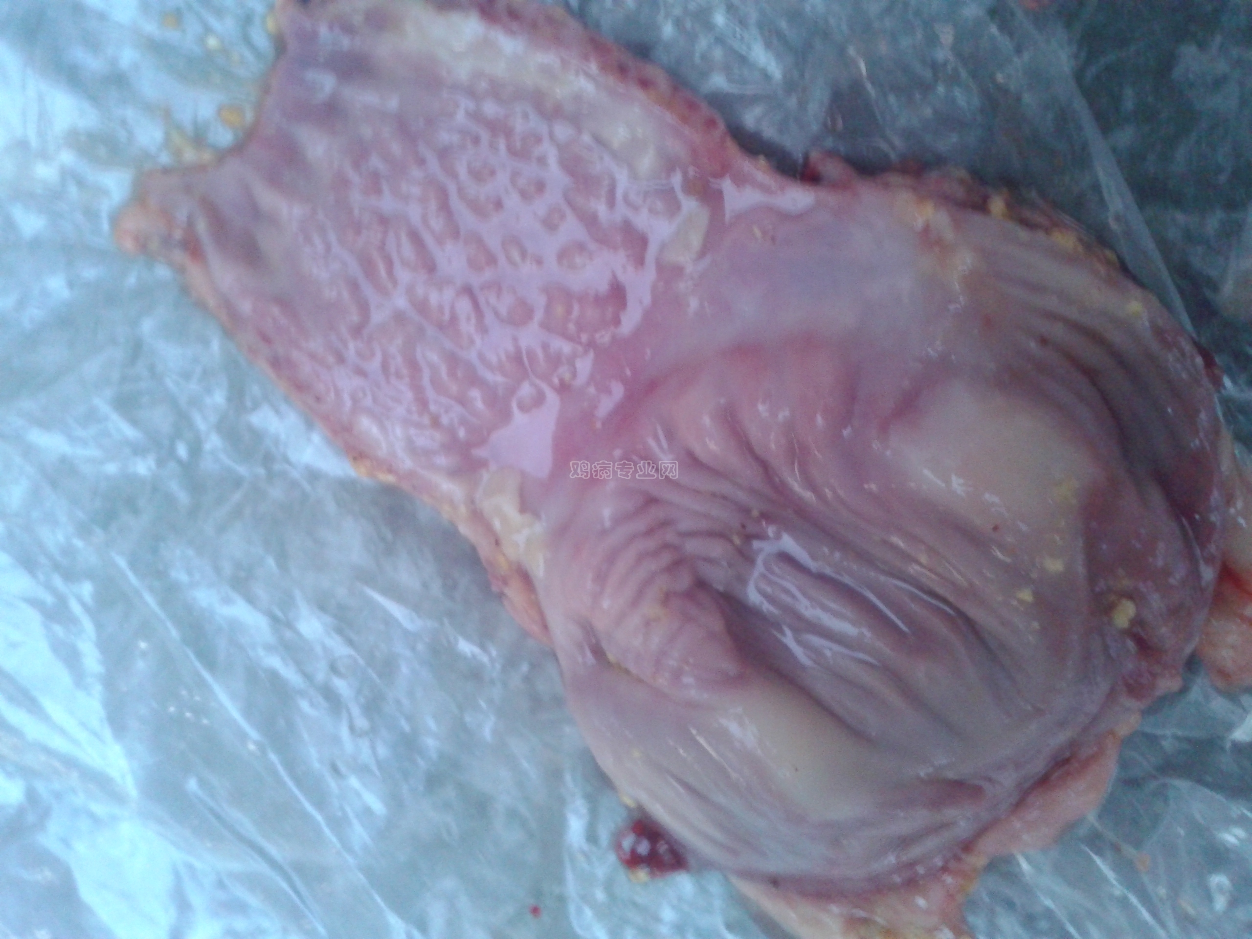 20140104_171651.jpg