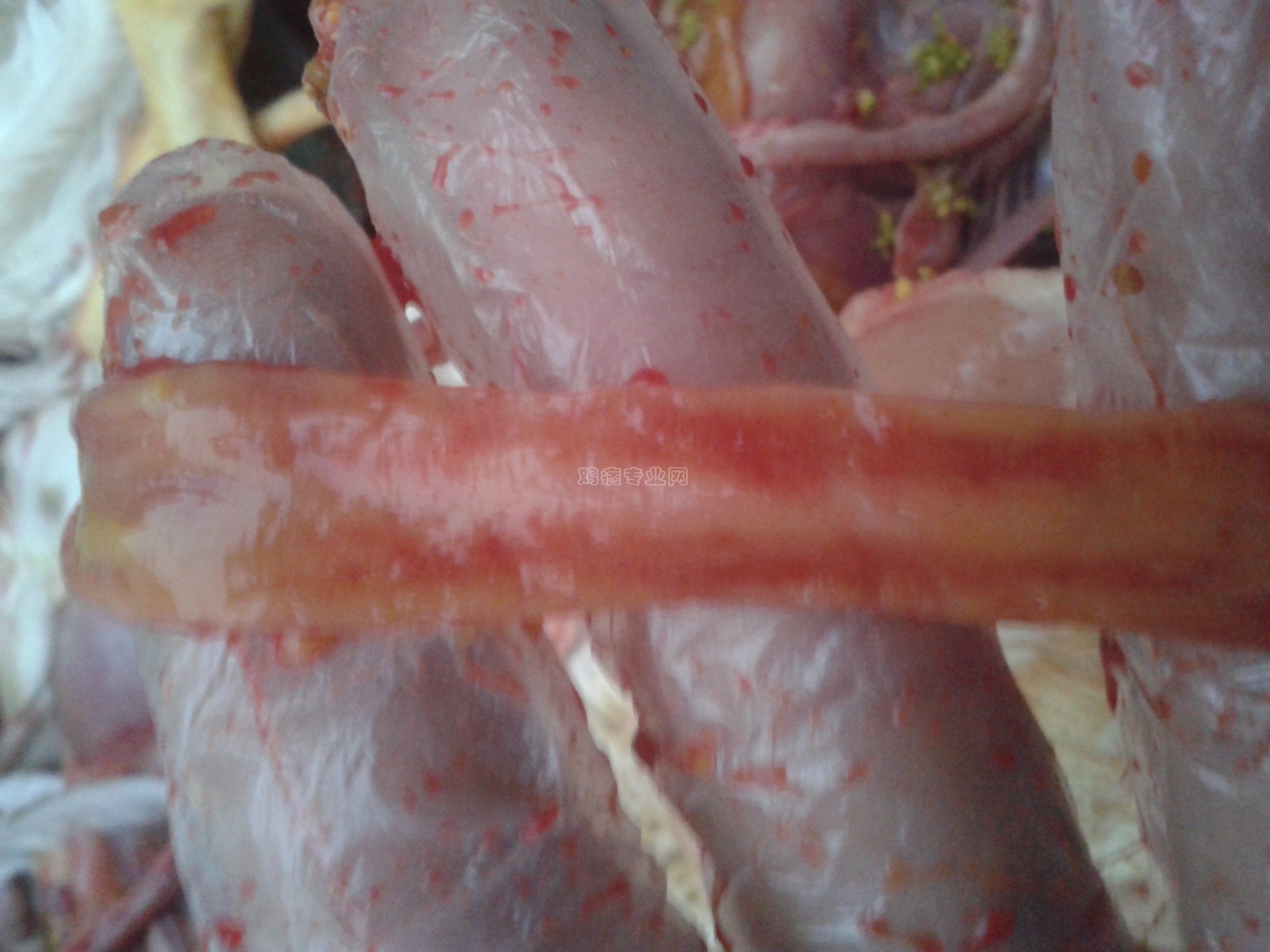 20140104_173028.jpg