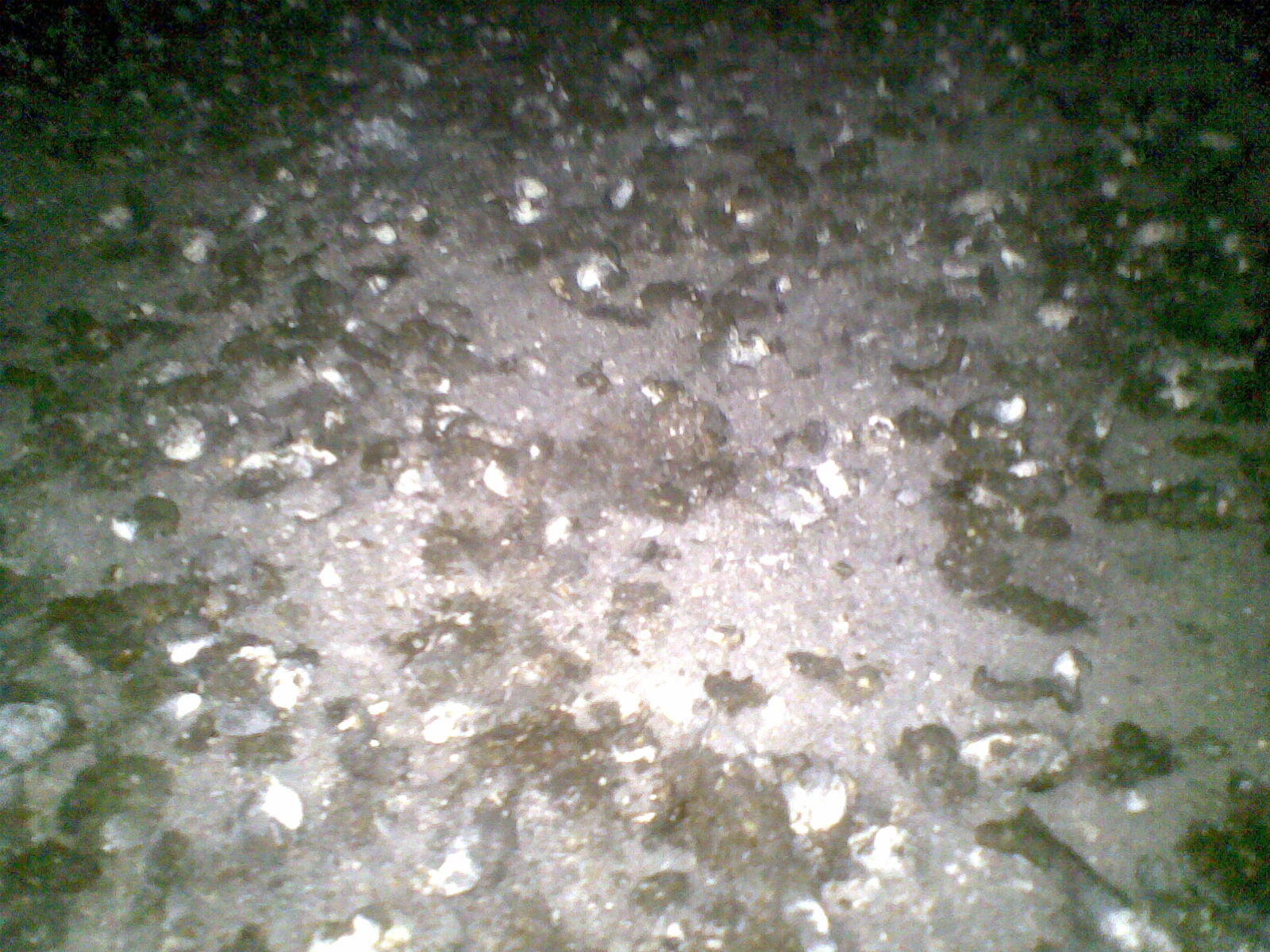 20140222(001).jpg