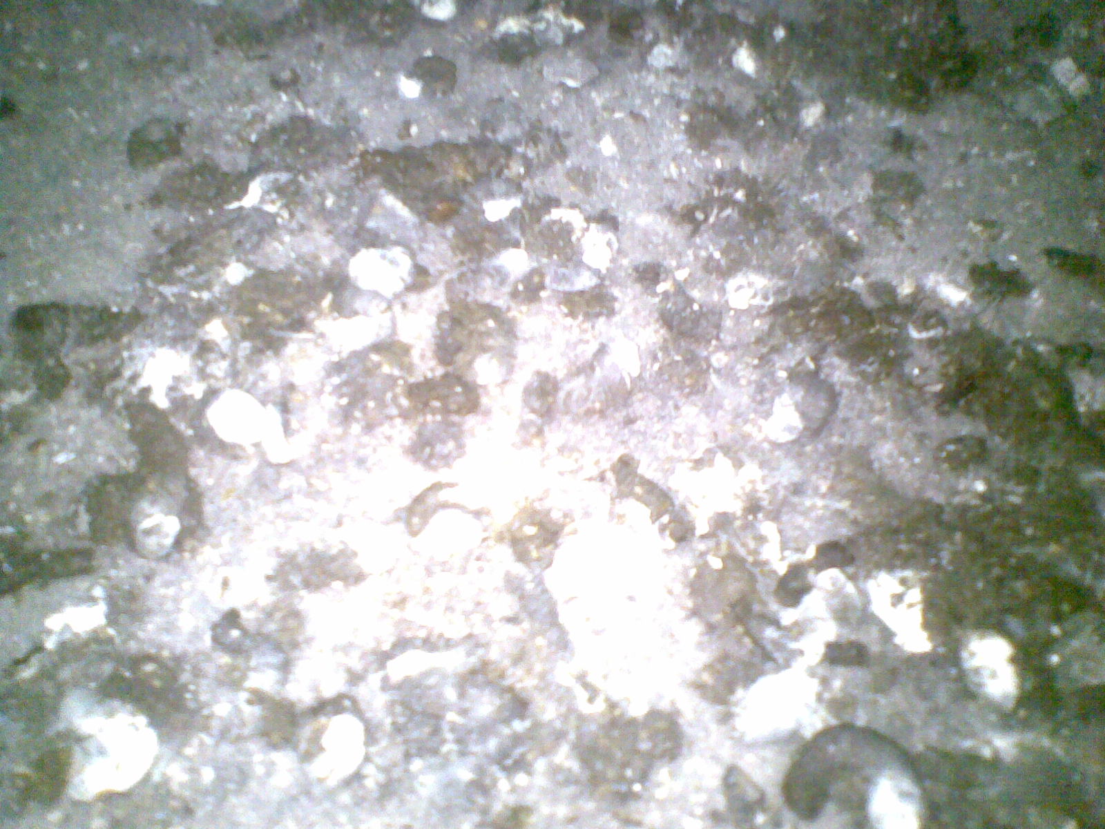 20140222(004).jpg