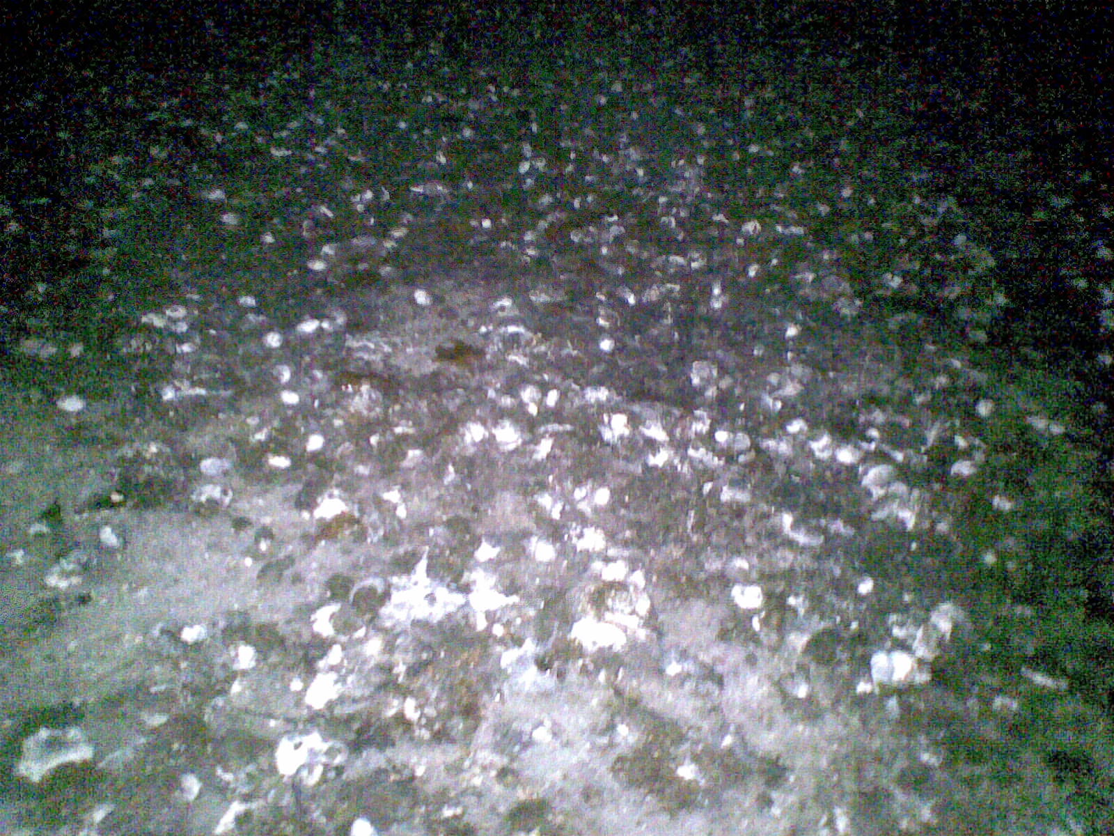 20140222(008).jpg