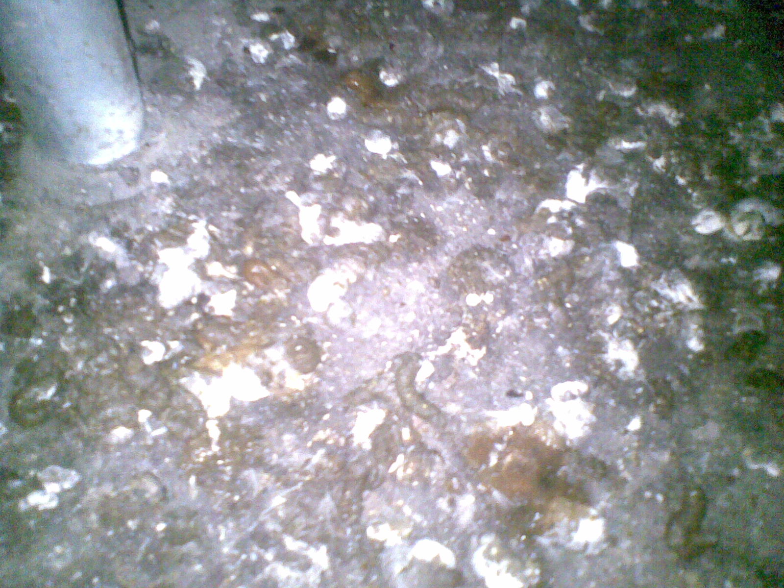 20140222(014).jpg