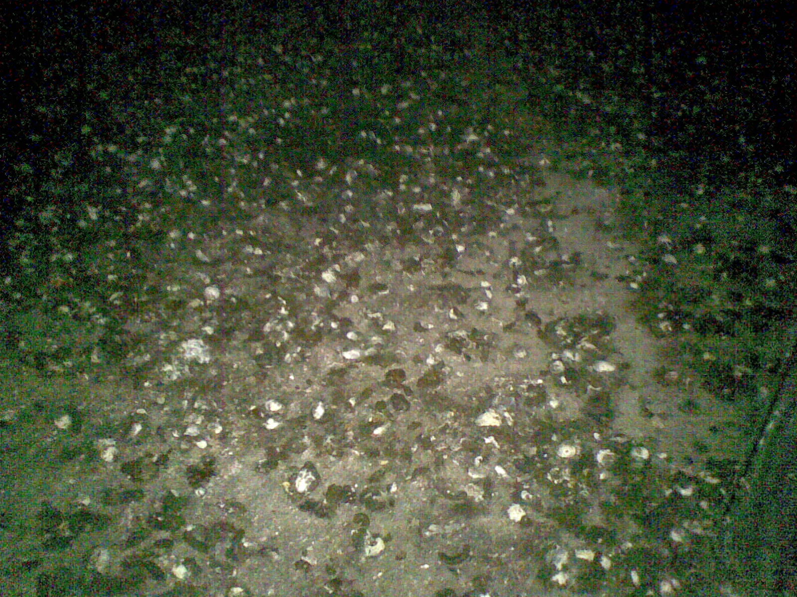 20140222.jpg