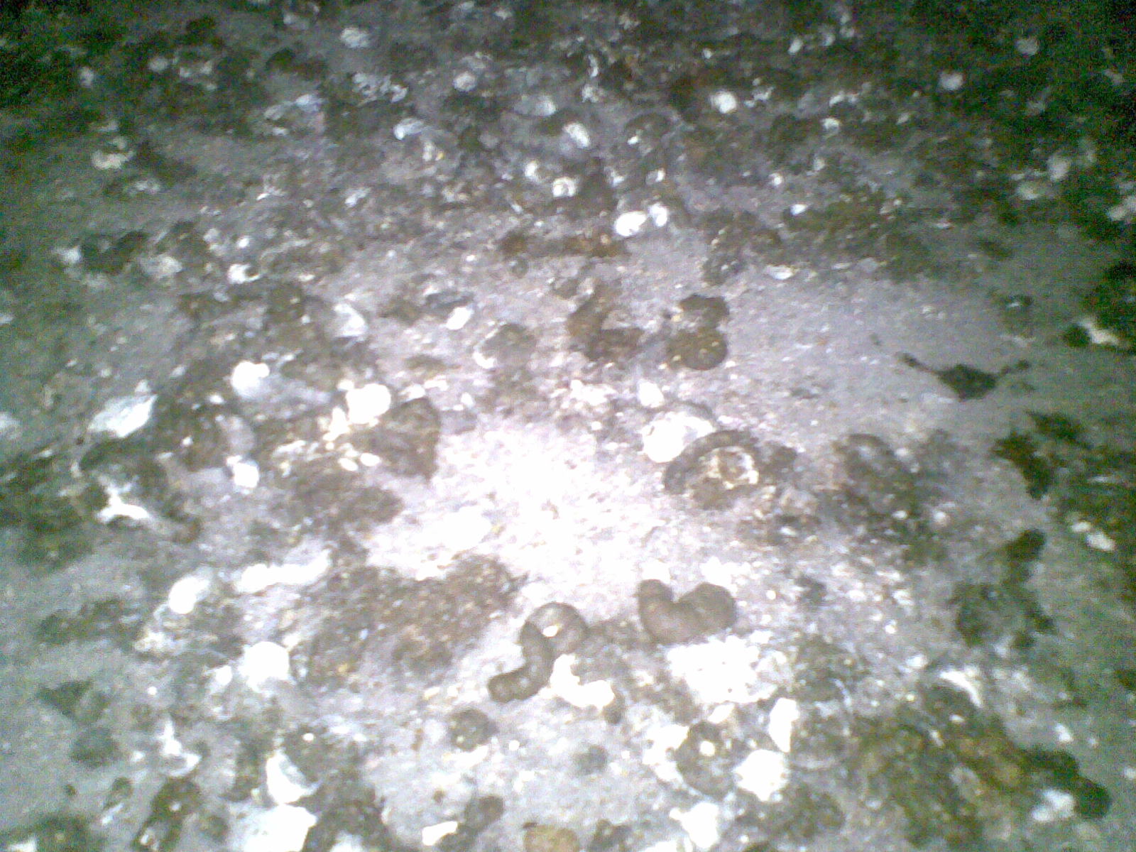 20140222(003).jpg