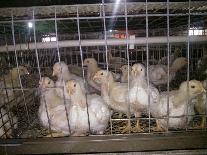 psbCAU97JKI.jpg