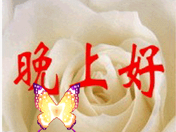 QQͼƬ20140421011130.gif