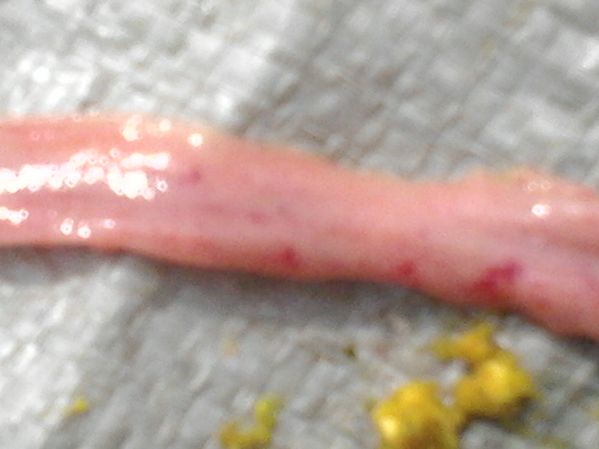 2014-04-20 09.41.42.jpg