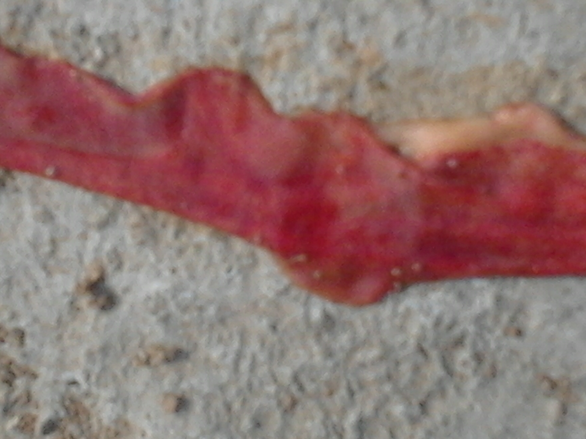 2014-04-24 08.16.30.jpg