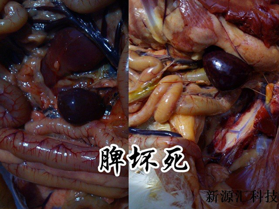 YJI(G)%`9H`CH[8KX9COX%R.jpg