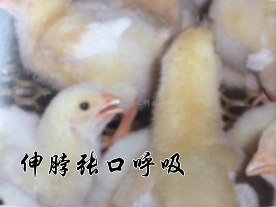 GYI(4~5I3O~80C49VM2DW7T.jpg