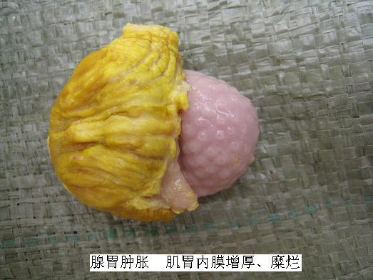 psb6.jpg
