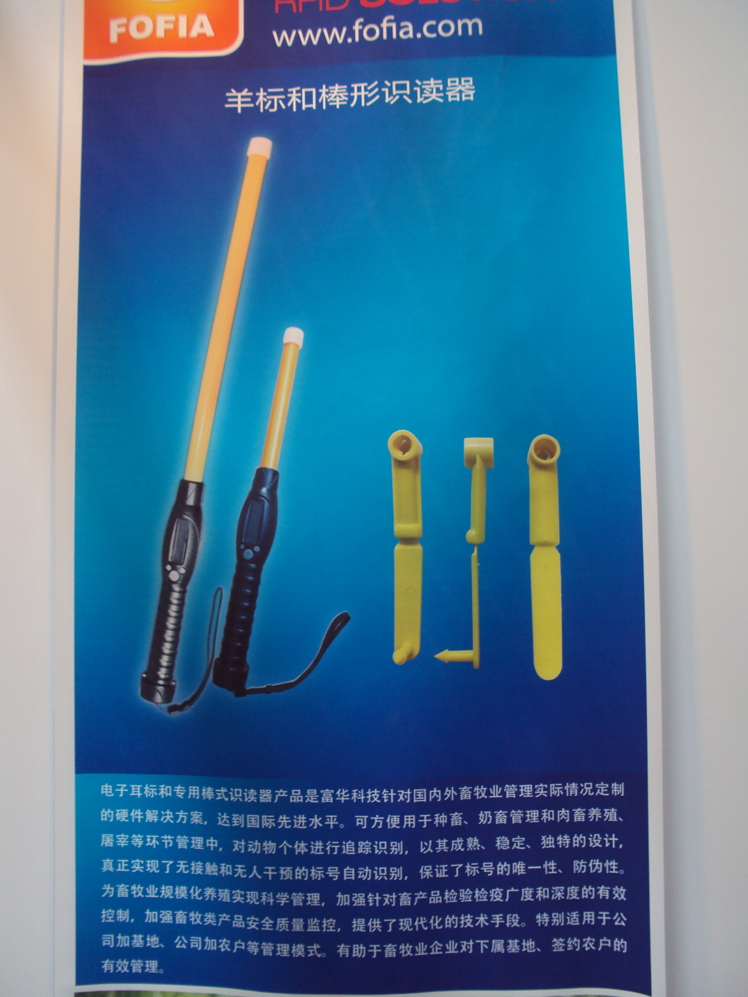 DSC01330.JPG
