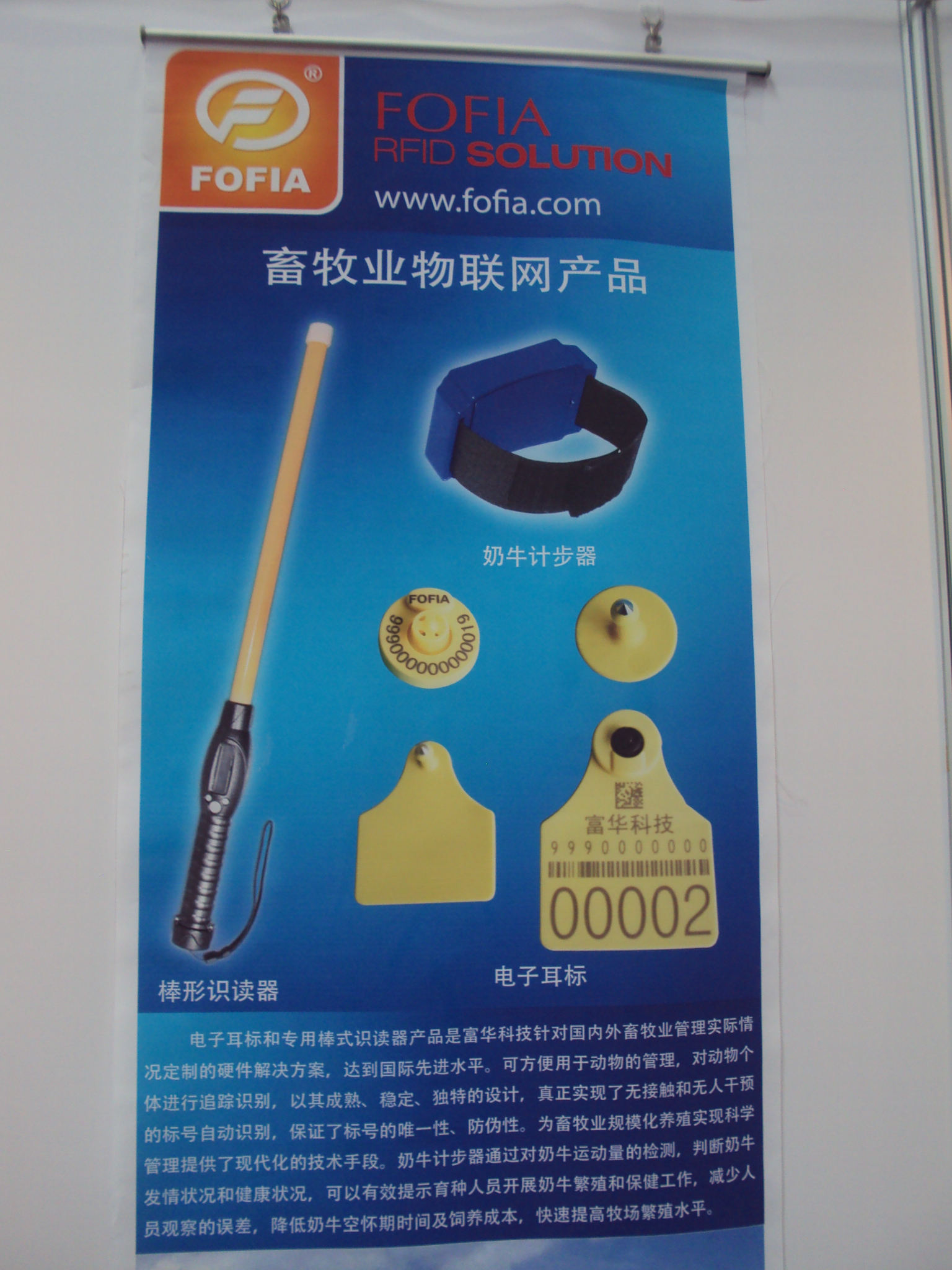 DSC01331.JPG