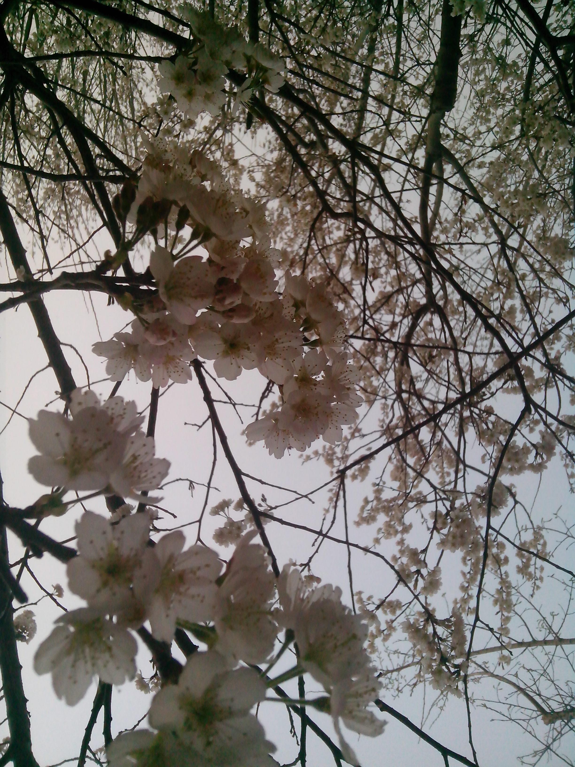IMG_20140327_070606.jpg
