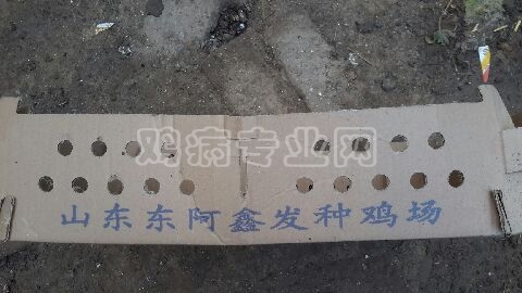 image_3.jpg