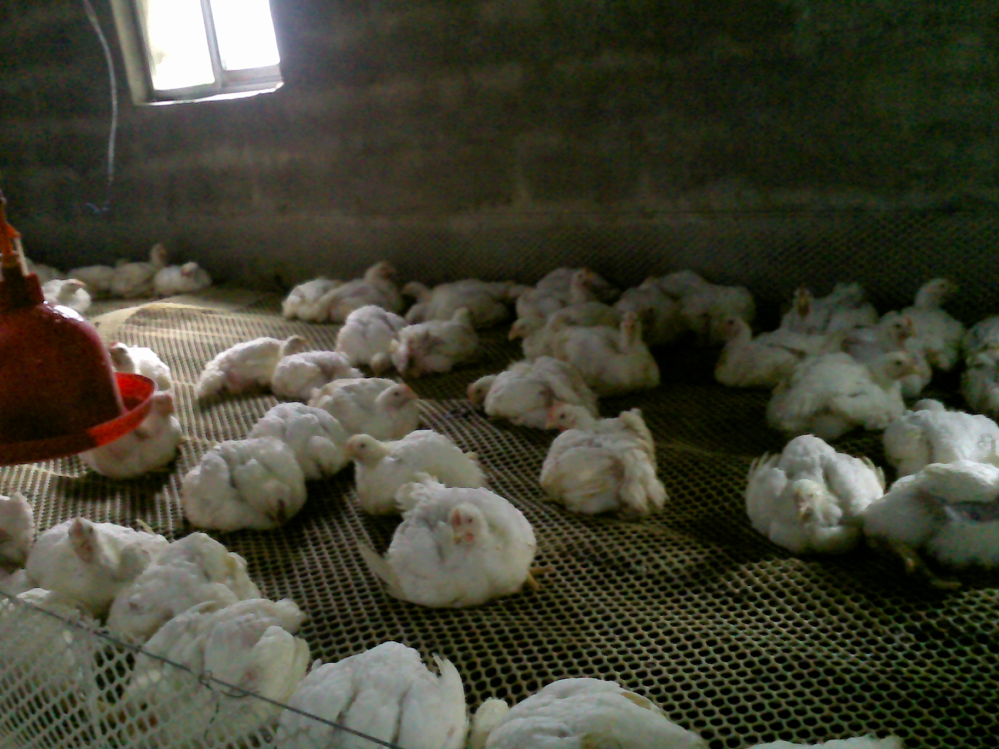 20140816_009.jpg