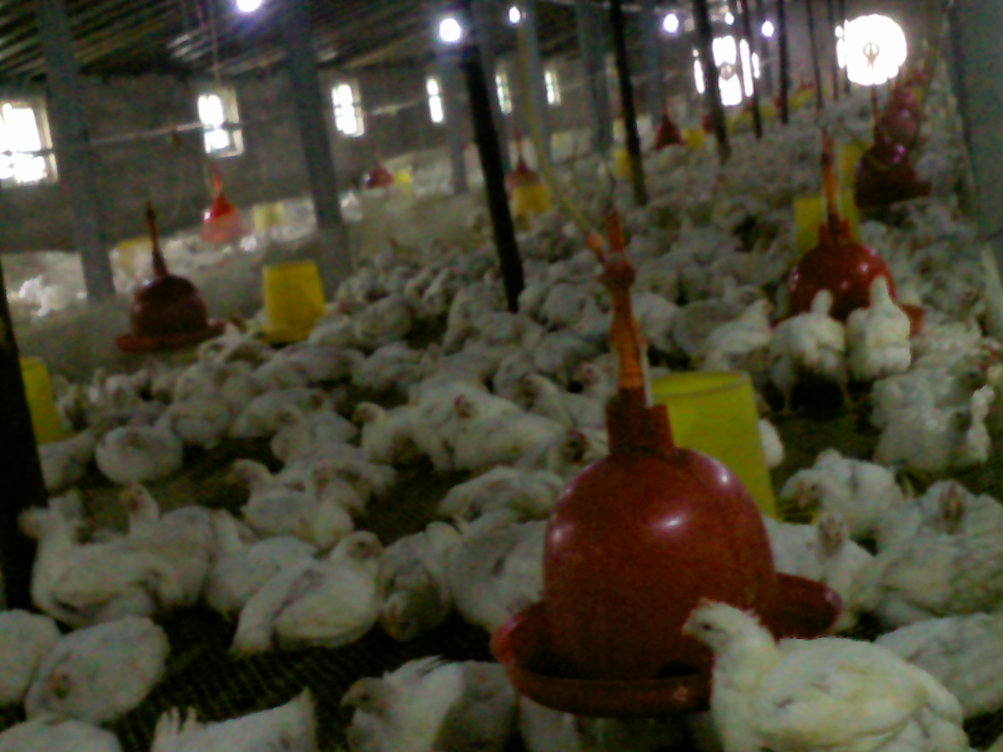 20140816_007.jpg