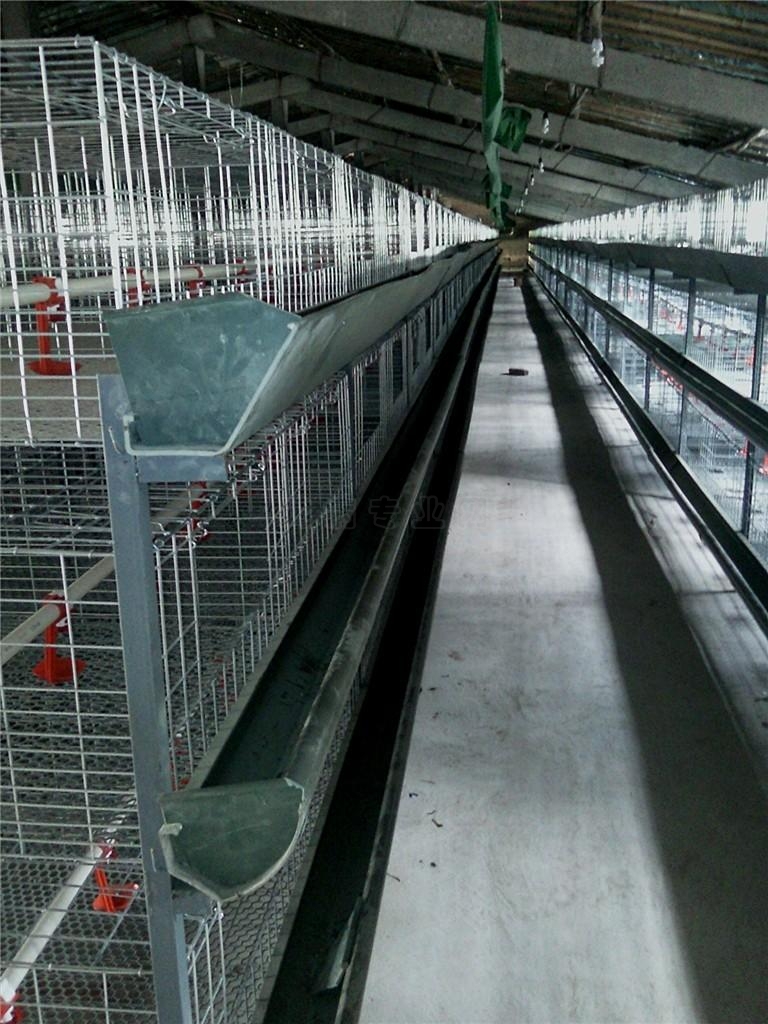 肉鸡笼养鸡舍的图片; 养鸡设备/鸡舍建设专题 肉鸡笼养鸡舍的图片