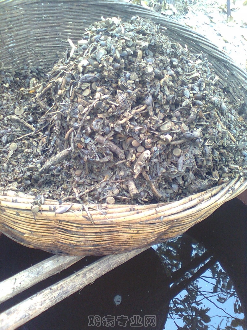 213_71382_7cd373cdf29acf0.jpg?471