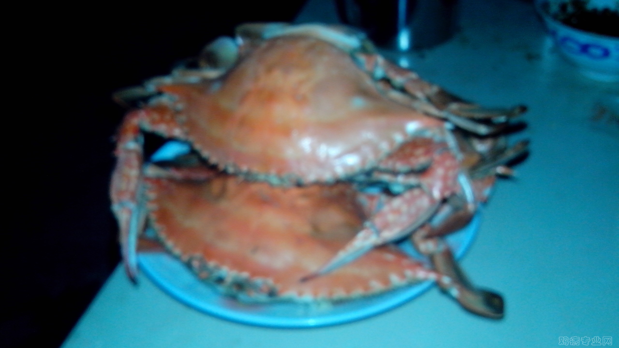 IMG_20140911_180942.jpg