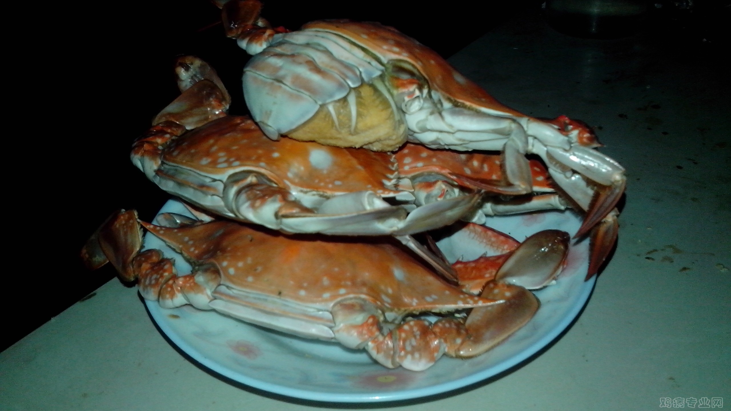 IMG_20140911_181120.jpg