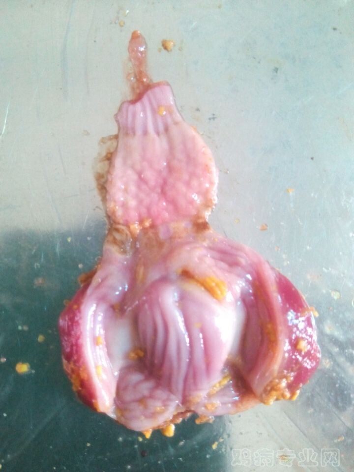 QQ图片20140920231532.jpg
