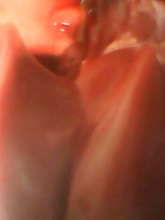 IMG0064A.jpg