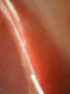 IMG0065A.jpg