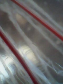 IMG0068A.jpg