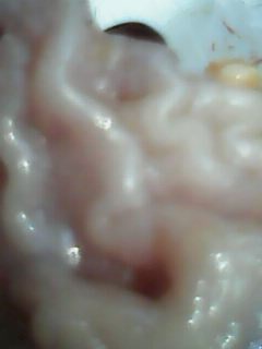 IMG0070A.jpg
