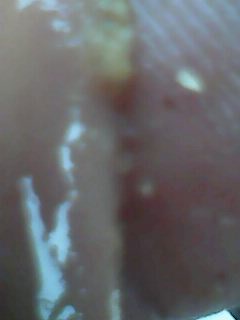 IMG0075A.jpg