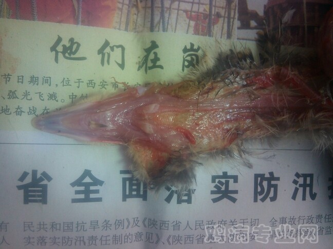 205030dvd86zn88mrmv8i6.jpg