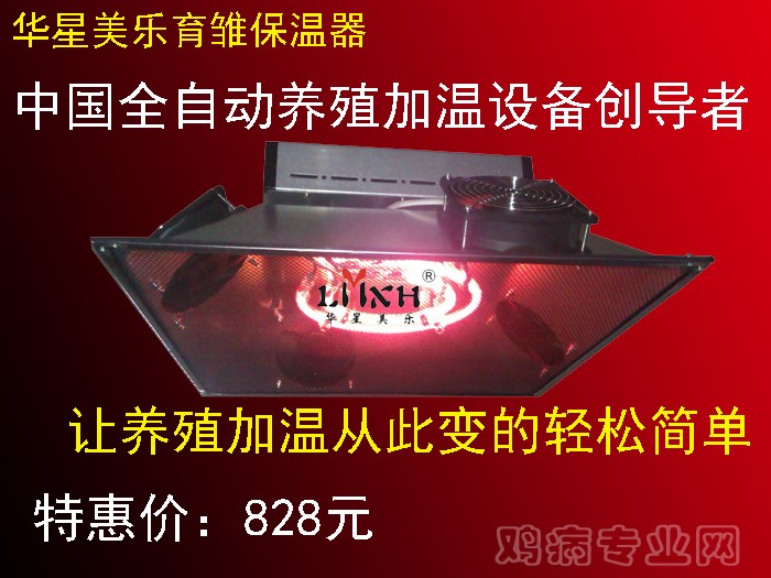 普通版1.jpg