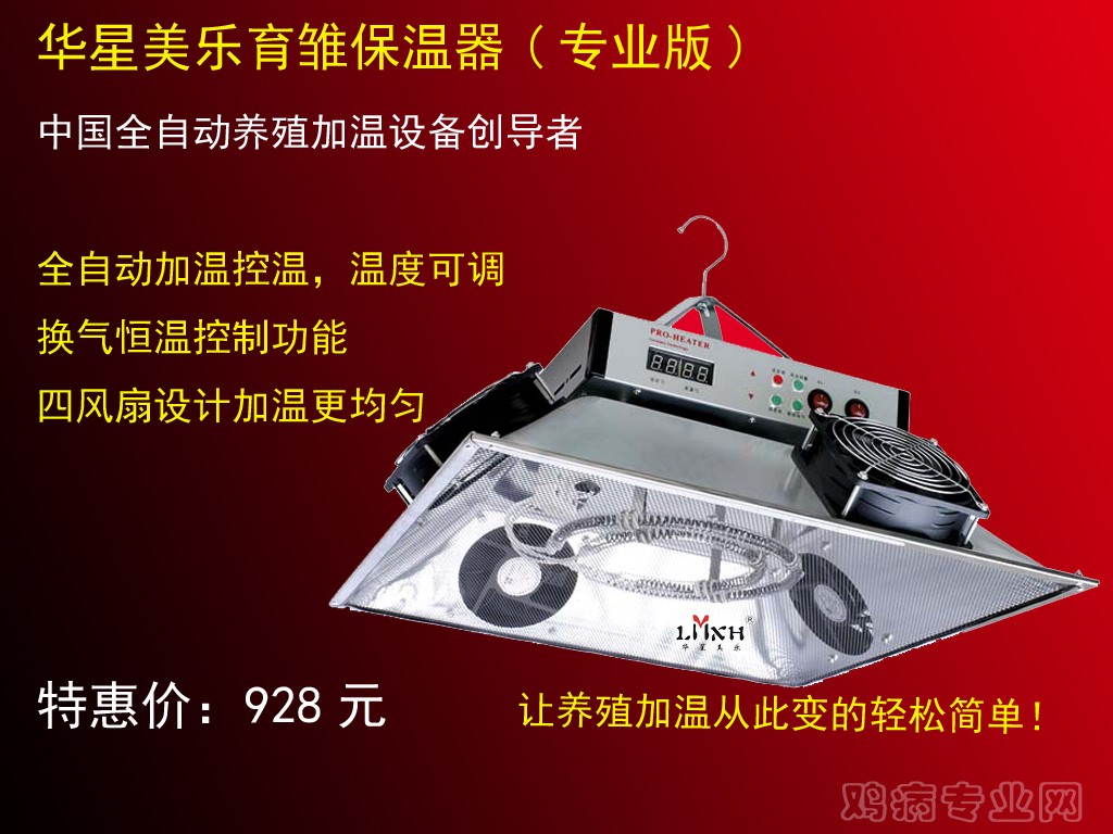 专业版1.jpg
