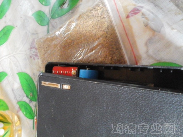 20141025_114339.jpg