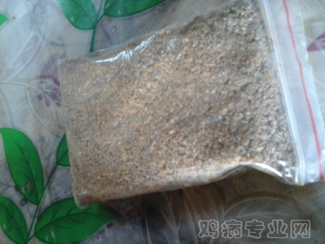 20141025_114322.jpg