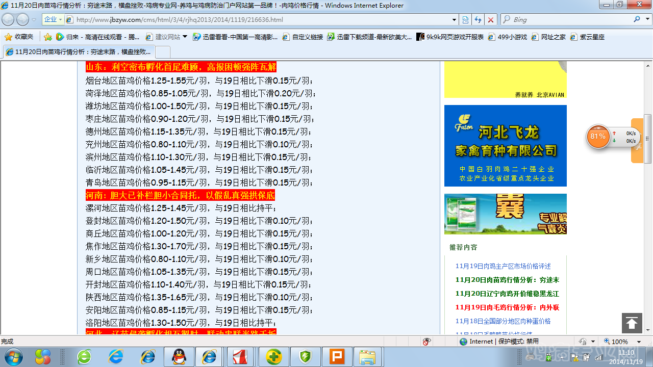 鸡苗11.png