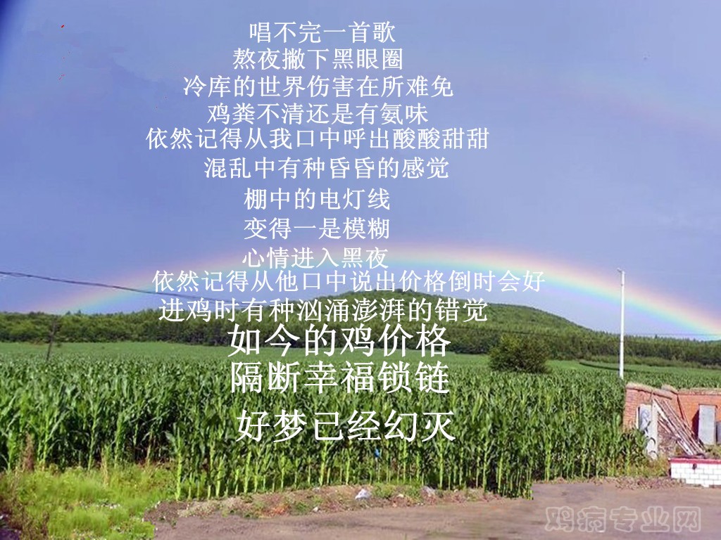 761Cl46375960111122_副本_44副本_副本.jpg